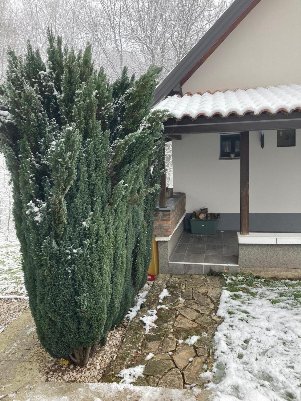 Holiday Home Tunnel Ravne Visoko Dış mekan fotoğraf